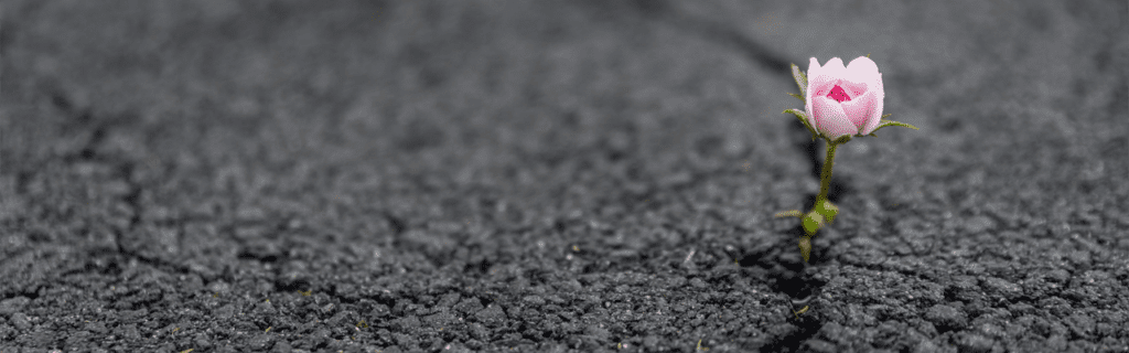 How to Build a Culture That Cultivates Resilience