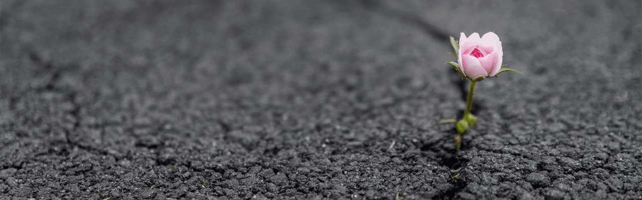 How to Build a Culture That Cultivates Resilience