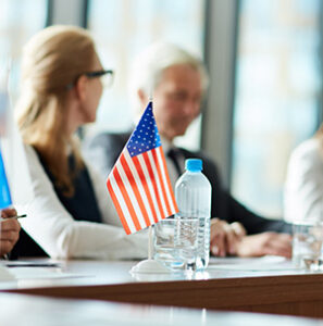 Government and Public Sector